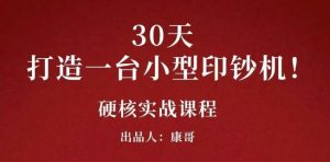 康哥30天打造一台小型印钞机:躺赚30万的项目完整复盘(视频教程)-墨痕微课