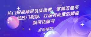 热门短视频带货实战 掌握流量密码 做热门视频 打造有流量的短视频带货账号-墨痕微课