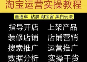 2023淘宝开店教程0基础到高级全套视频网店电商运营培训教学课程(2月更新)-墨痕微课