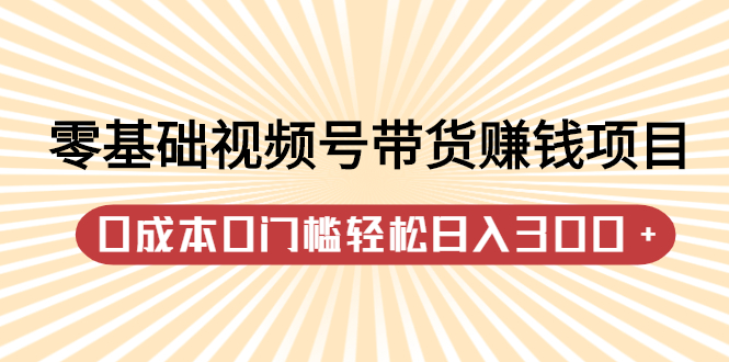 零基础视频号带货赚钱项目,0成本0门槛轻松日入300 【视频教程】-墨痕微课