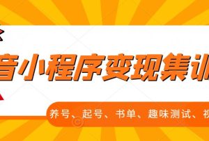抖音小程序变现集训课,养号、起号、书单、趣味测试、视频剪辑,全套流程-墨痕微课