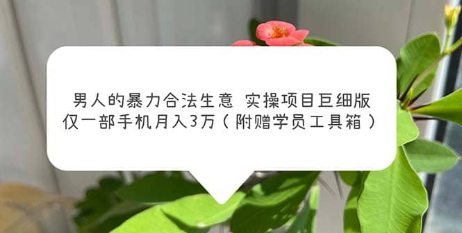 男人的暴力合法生意实操项目巨细版:仅一部手机月入3w(附赠学员工具箱)-墨痕微课