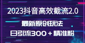 日引300+创业粉,独家抖音高效截流2.0玩法(价值1280)-墨痕微课