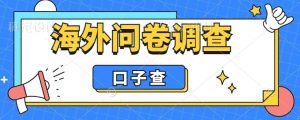 外面收费5000 海外问卷调查口子查项目,认真做单机一天200-墨痕微课