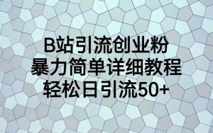 B站引流创业粉,暴力简单详细教程,轻松日引流50-墨痕微课