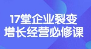 张琦《盈利增长17堂必修课》企业裂变增长的经营智慧,带你了解增长的本质-墨痕微课