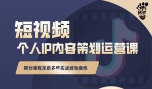 抖音短视频个人ip内容策划实操课,真正做到普通人也能实行落地-墨痕微课