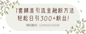 1套精准引流金融粉方法,轻松日引300 粉丝【视频课程】-墨痕微课