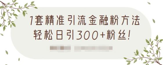 1套精准引流金融粉方法,轻松日引300 粉丝【视频课程】-墨痕微课