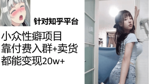 知乎小众性癖项目,Lsp的钱才是最好赚的,付费建群 卖货变现20w-墨痕微课