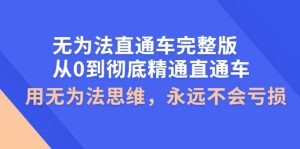 无为法直通车完整版:从0到彻底精通直通车,用无为法思维,永远不会亏损-墨痕微课