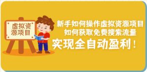 新手如何操作虚拟资源项目:如何获取免费搜索流量,实现全自动盈利!-墨痕微课
