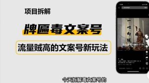 2023抖音快手毒文案新玩法,牌匾文案号,起号快易变现-墨痕微课