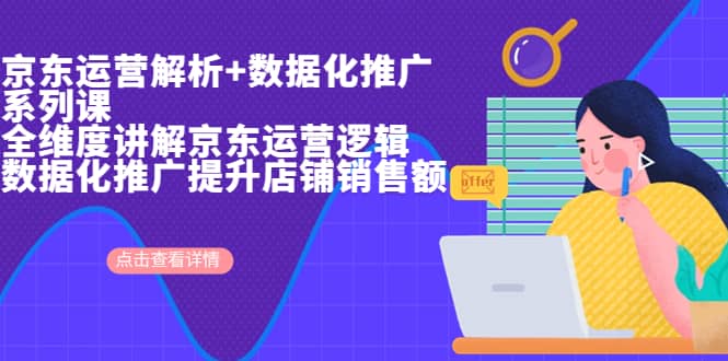 京东运营解析与数据化推广系列课,全维度讲解京东运营逻辑 数据化推广提升店铺销售额-墨痕微课