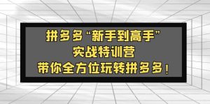 拼多多“新手到高手”实战特训营:带你全方位玩转拼多多-墨痕微课