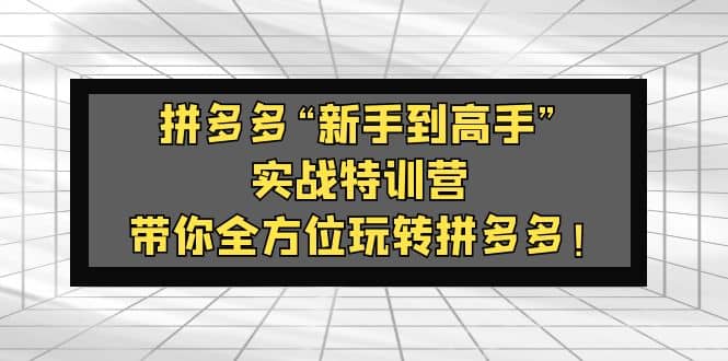 拼多多“新手到高手”实战特训营:带你全方位玩转拼多多-墨痕微课