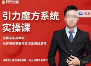 阿呆-引力魔方系统实操课,全体系实战教学,助你快速掌握推荐流量底层逻辑-墨痕微课