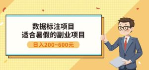 副业赚钱:人工智能数据标注项目,简单易上手,小白也能日入200-墨痕微课