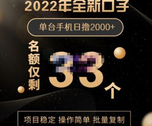2022年全新口子,手机批量搬砖玩法,一部手机日撸2000-墨痕微课