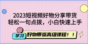 2023短视频好物分享带货,好物带货高级课程,轻松一句点拨,小白快速上手-墨痕微课