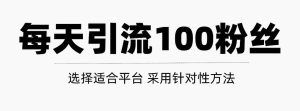 只需要做好这几步,就能让你每天轻松获得100 精准粉丝的方法!【视频教程】-墨痕微课