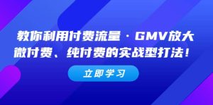 教你利用付费流量·GMV放大,微付费、纯付费的实战型打法-墨痕微课
