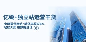 独立站运营干货:全面提升网站·转化率超过4%,轻松大卖 用数据说话-墨痕微课