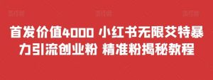 首发价值4000 小红书无限艾特暴力引流创业粉 精准粉揭秘教程-墨痕微课
