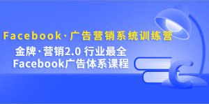 Facebook·广告营销系统训练营:金牌·营销2.0 行业最全Facebook广告·体系-墨痕微课