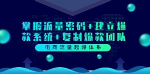 电商流量起爆体系:掌握流量密码 建立爆款系统 复制爆款团队(价值599)-墨痕微课