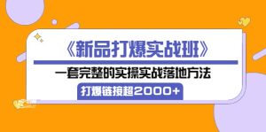 《新品打爆实战班》一套完整的实操实战落地方法,打爆链接超2000 (38节课)-墨痕微课