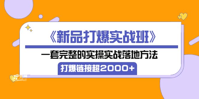 《新品打爆实战班》一套完整的实操实战落地方法,打爆链接超2000 (38节课)-墨痕微课