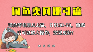 外面这份课卖 698，闲鱼卖网课引流创业粉，新手也可日引50 流量-墨痕微课