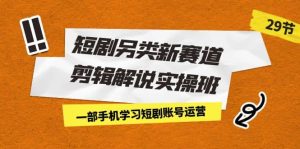 短剧另类新赛道剪辑解说实操班:一部手机学习短剧账号运营(29节 价值500)-墨痕微课