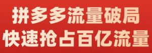 阿杰·拼多多流量破局:如何打黑标,爆款的思路,拼多多流量框架,快速抢占百亿流量-墨痕微课