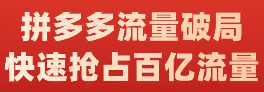 阿杰·拼多多流量破局:如何打黑标,爆款的思路,拼多多流量框架,快速抢占百亿流量-墨痕微课