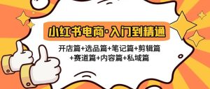 小红书电商入门到精通 开店篇 选品篇 笔记篇 剪辑篇 赛道篇 内容篇 私域篇-墨痕微课