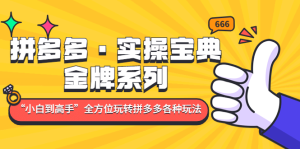 拼多多·实操宝典:金牌系列“小白到高手”带你全方位玩转拼多多各种玩法-墨痕微课
