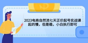 2023电商自然流七天正价起号实战课：起的慢，但是稳，小白执行即可-墨痕微课
