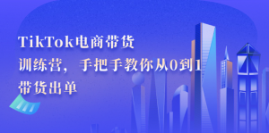 TikTok电商带货训练营,手把手教你从0到1带货出单-墨痕微课