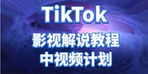 外面收费2980元的TikTok影视解说、中视频教程-墨痕微课