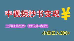 2023中视频抄书变现(附工具 教程),一天300 ,特别适合新手操作的副业-墨痕微课