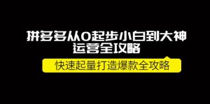 拼多多从0起步小白到大神运营全攻略-墨痕微课