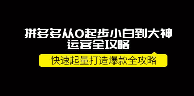 拼多多从0起步小白到大神运营全攻略-墨痕微课