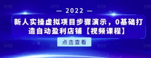 新人实操虚拟项目步骤演示,0基础打造自动盈利店铺【视频课程】-墨痕微课