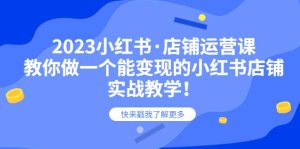 2023小红书·店铺运营课,教你做一个能变现的小红书店铺,20节-实战教学-墨痕微课