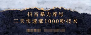 抖音暴力养号,三天快速涨1000粉技术【视频课程】-墨痕微课