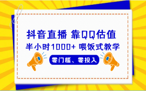 QQ号估值直播 半小时1000 ,零门槛、零投入,喂饭式教学、小白首选-墨痕微课