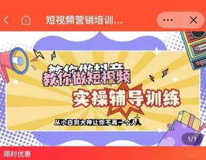 蕊总很忙·短视频营销培训实操课教你快速入门,教你做抖音短视频-墨痕微课