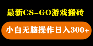 最新csgo游戏搬砖游戏,无需挂机小白无脑也能日入300-墨痕微课